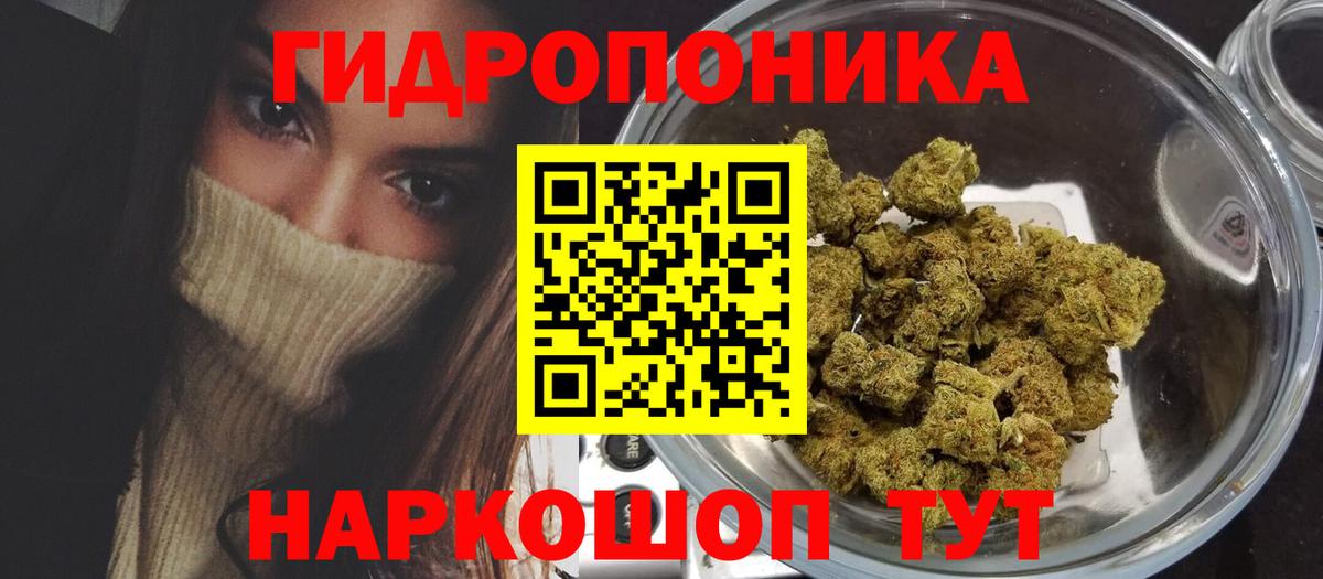 Канабис семена Великий Устюг